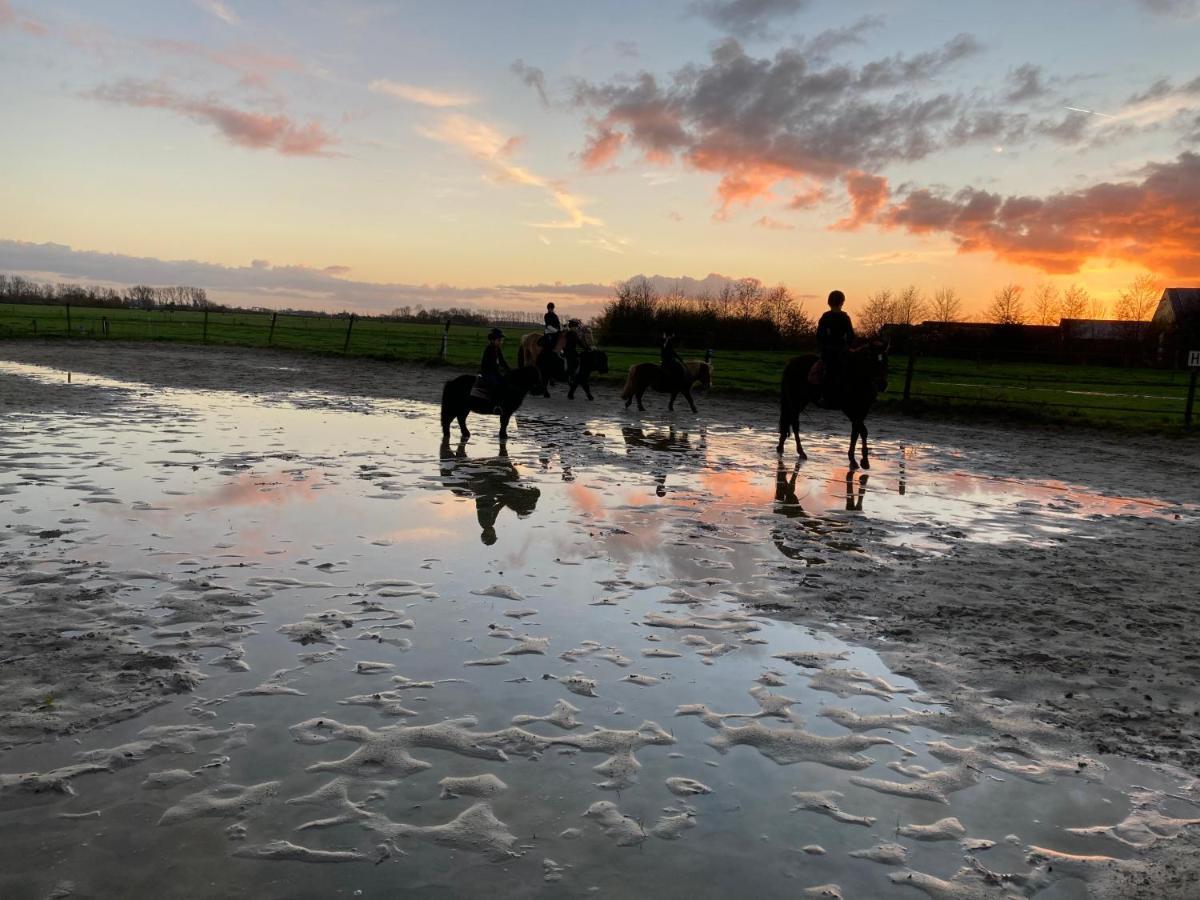 GarnwerdThe Horse Farm住宿加早餐旅馆 外观 照片
